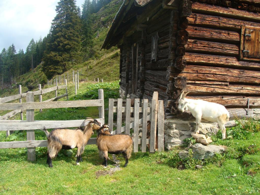 Landhotel Haeuserl Im Wald Grobming Dış mekan fotoğraf
