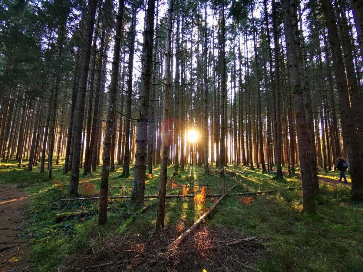 Landhotel Haeuserl Im Wald Grobming Dış mekan fotoğraf